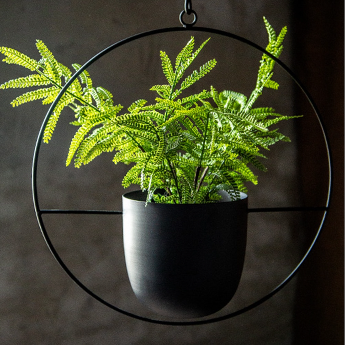 Metal Wall Hanging Planters - Jasmine and Jade Interiors