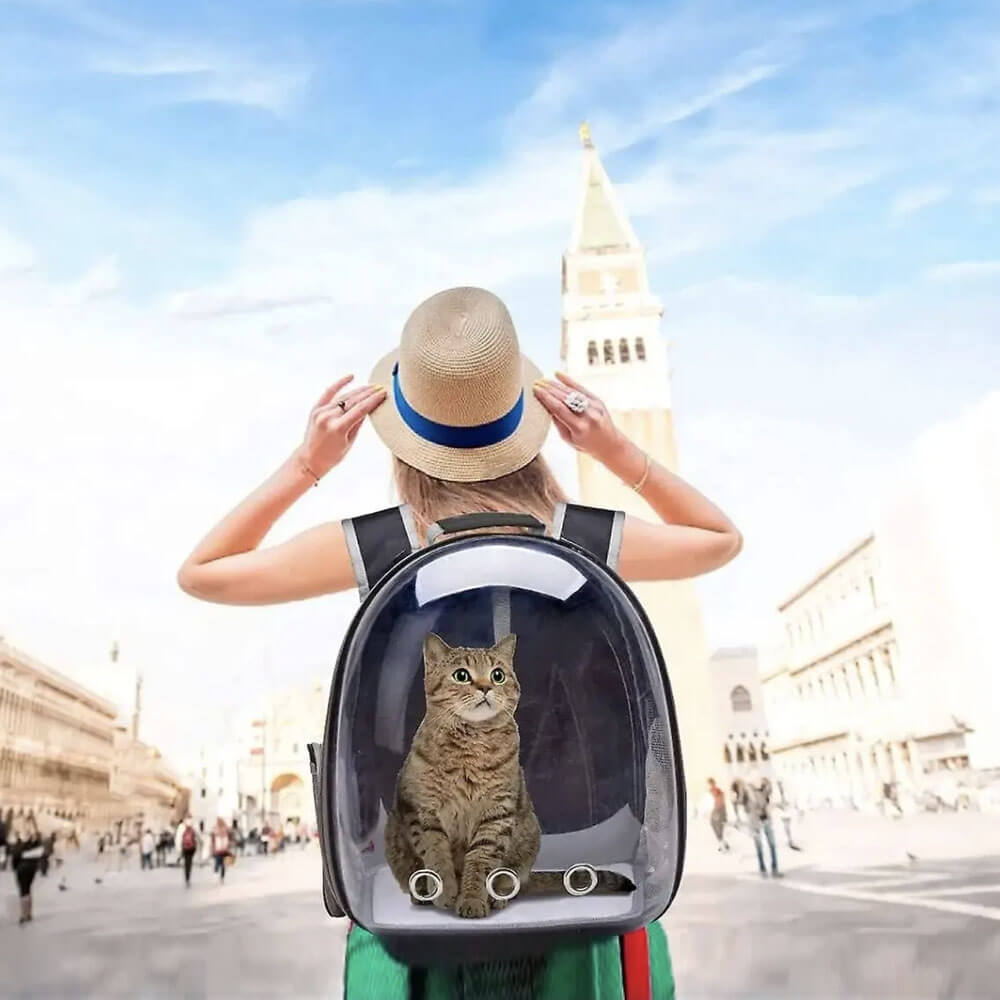 Cat Capsule Backpack Carry Bag