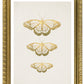 Gold Schmetterlinge Kunstdruck