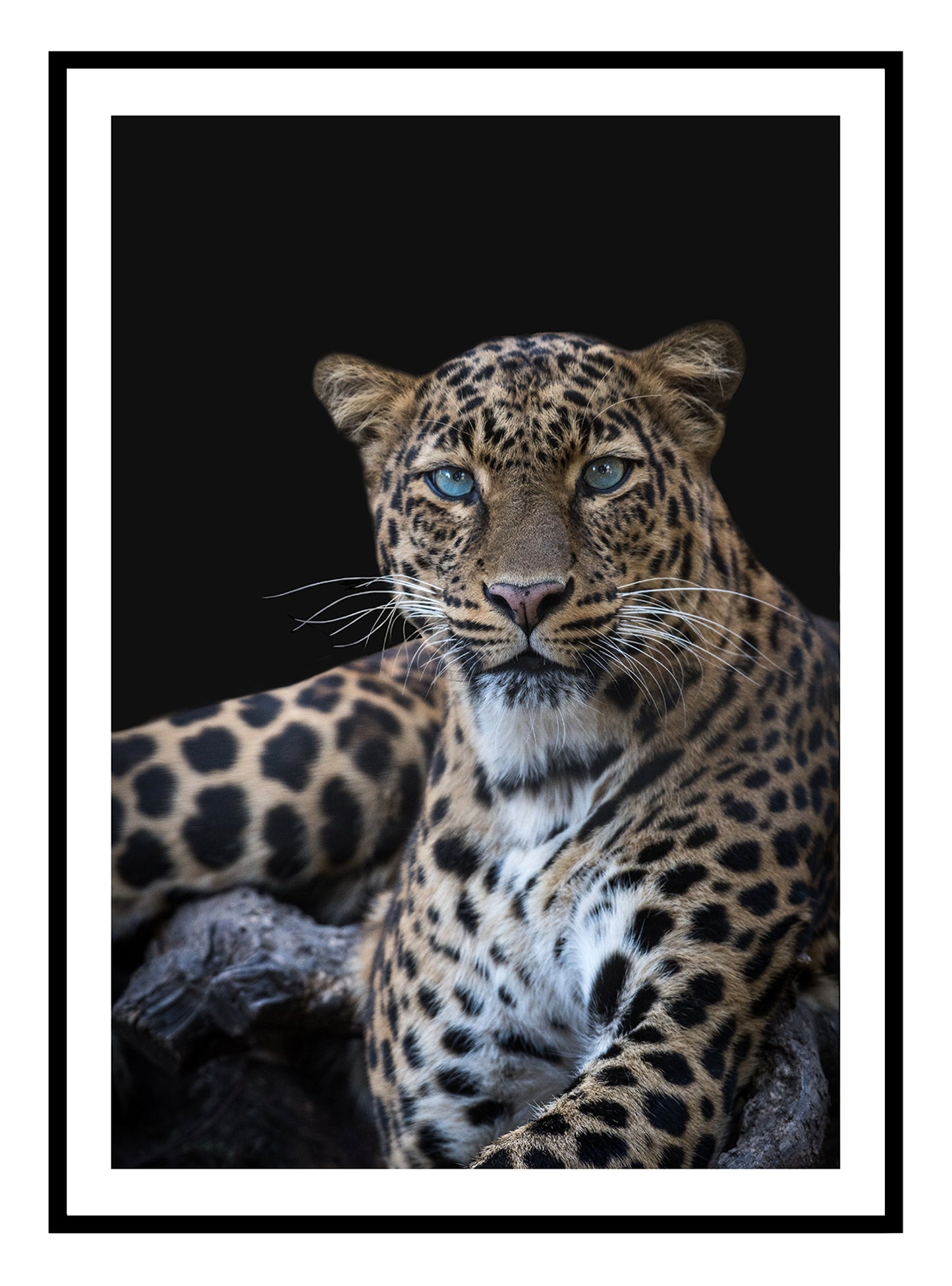 Stampa artistica di leopardo selvatico