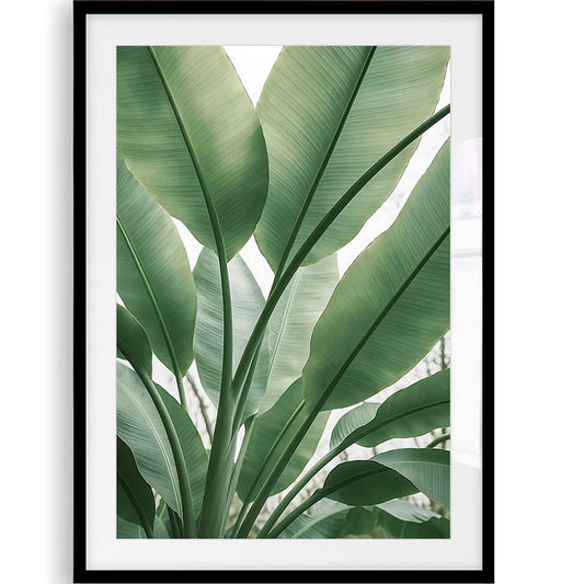 Abstract Lines Art Print