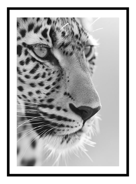 Wunderschöner Leoparden-Kunstdruck – 2 Farben