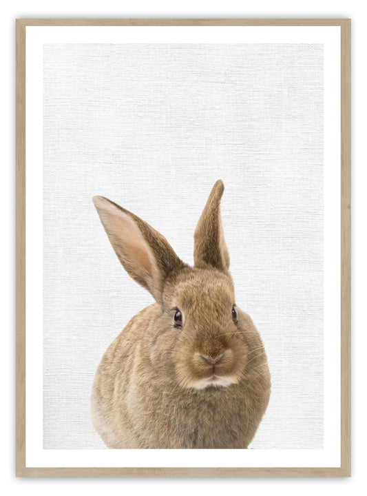 Baby Hase Kaninchen Kunstdruck