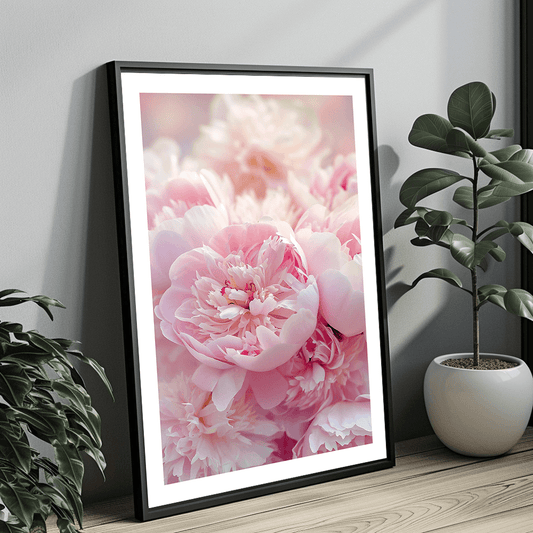 Rosa Dahlia i blomst kunsttrykk
