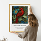 Inspirado en William Morris, firmado - Estampado de cardenal rojo
