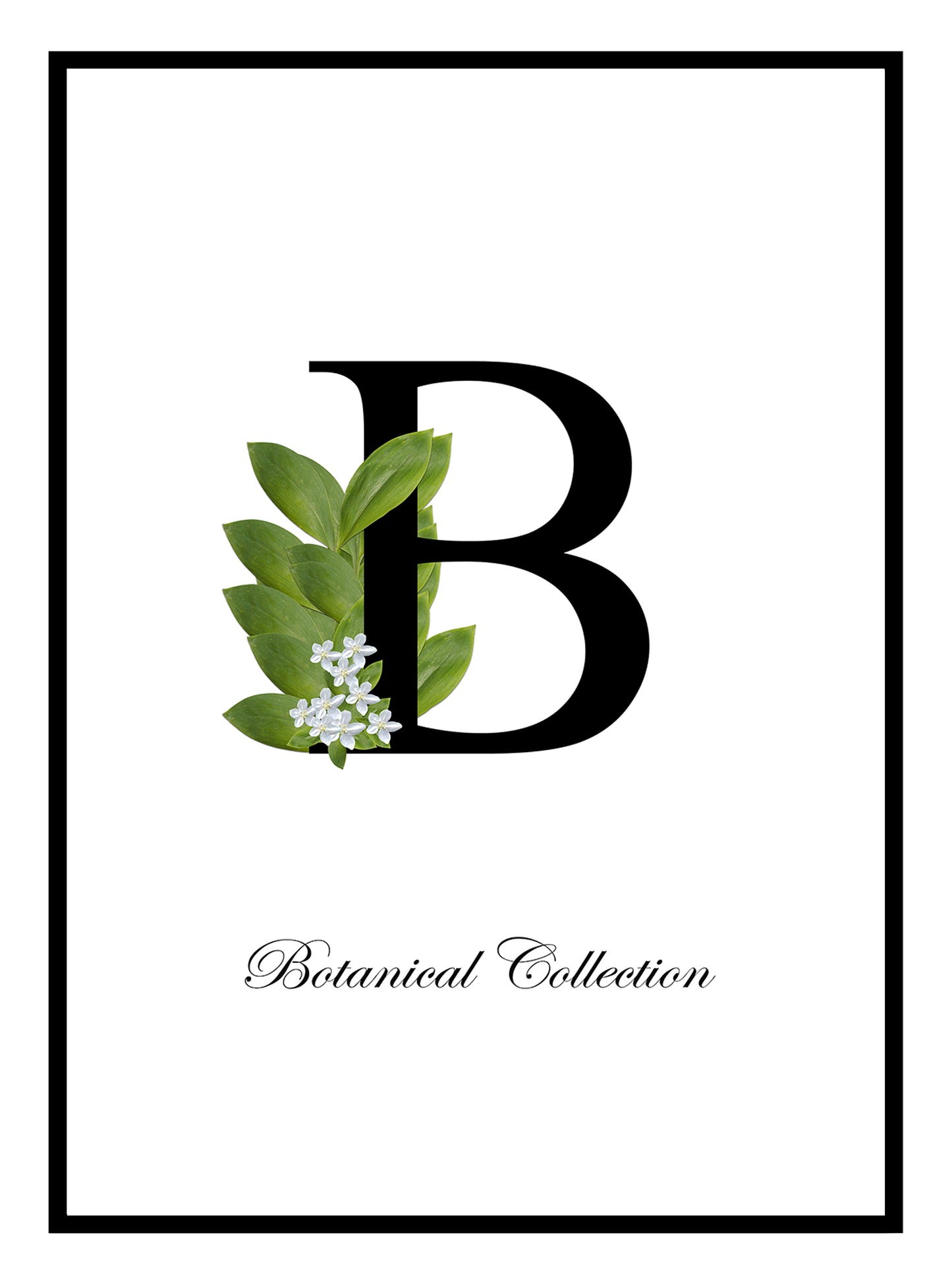 B para botánico Lámina artística
