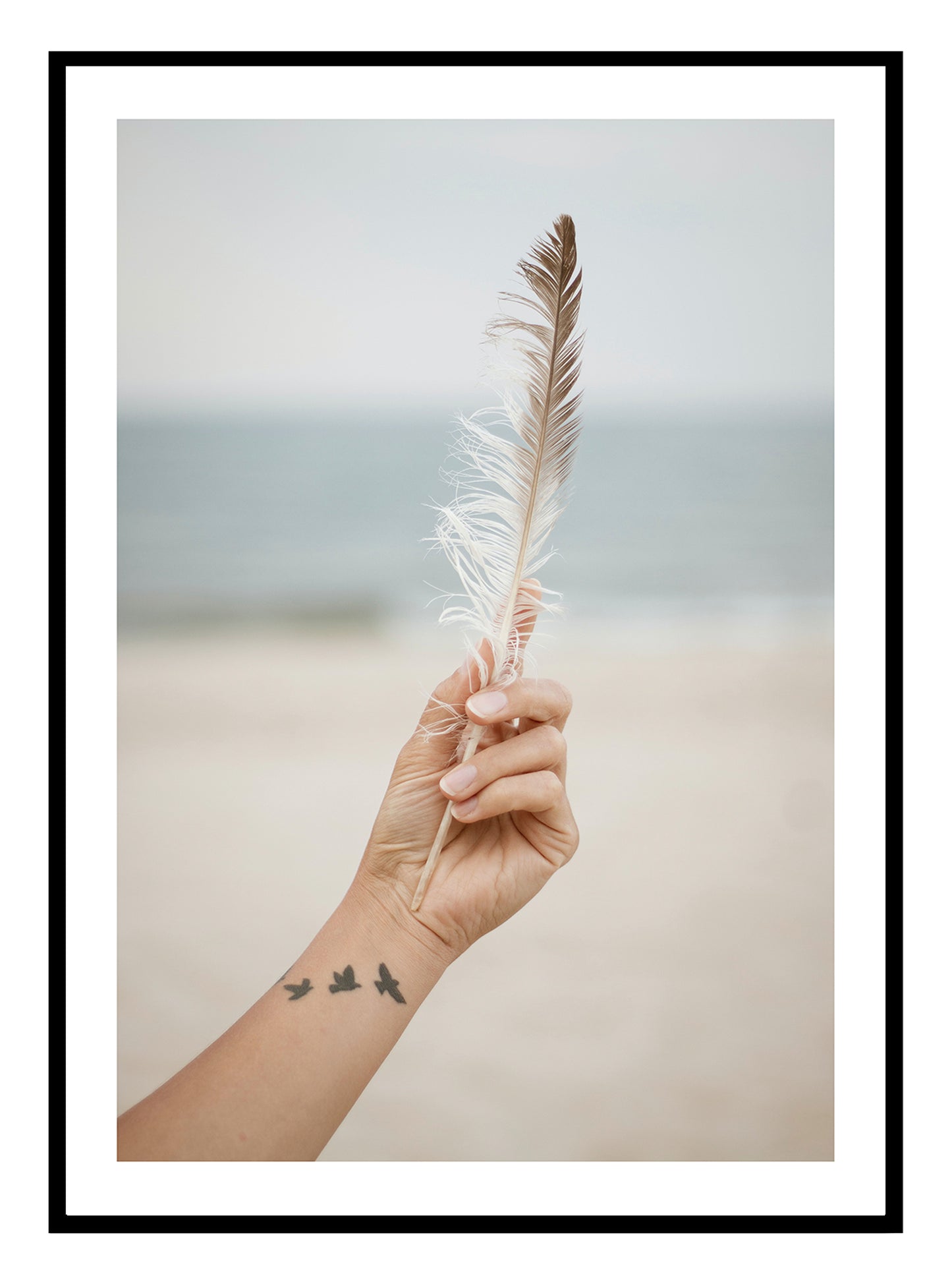 Beach Feather Art Print