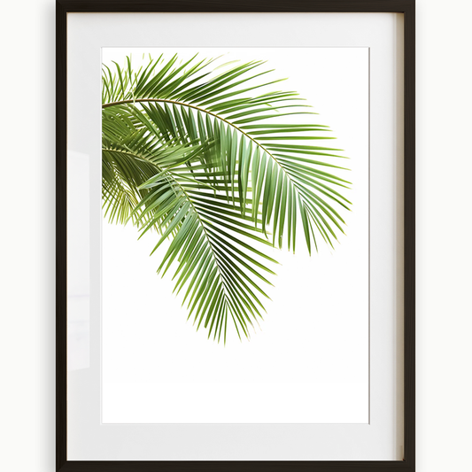 Palm Leaves (A) Art Print