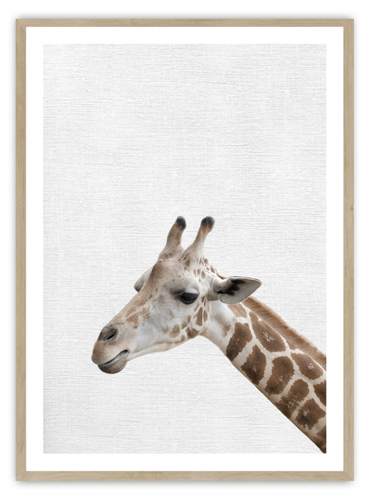 Stampa artistica di baby giraffa