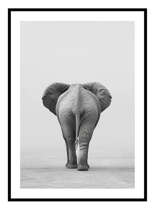 African Elephant (B) Art Print