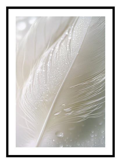 Soft Feathers Art Print