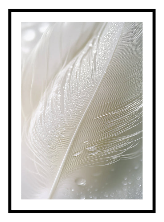 Soft Feathers Art Print