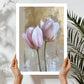 Beautiful Tulips Art Print (A)