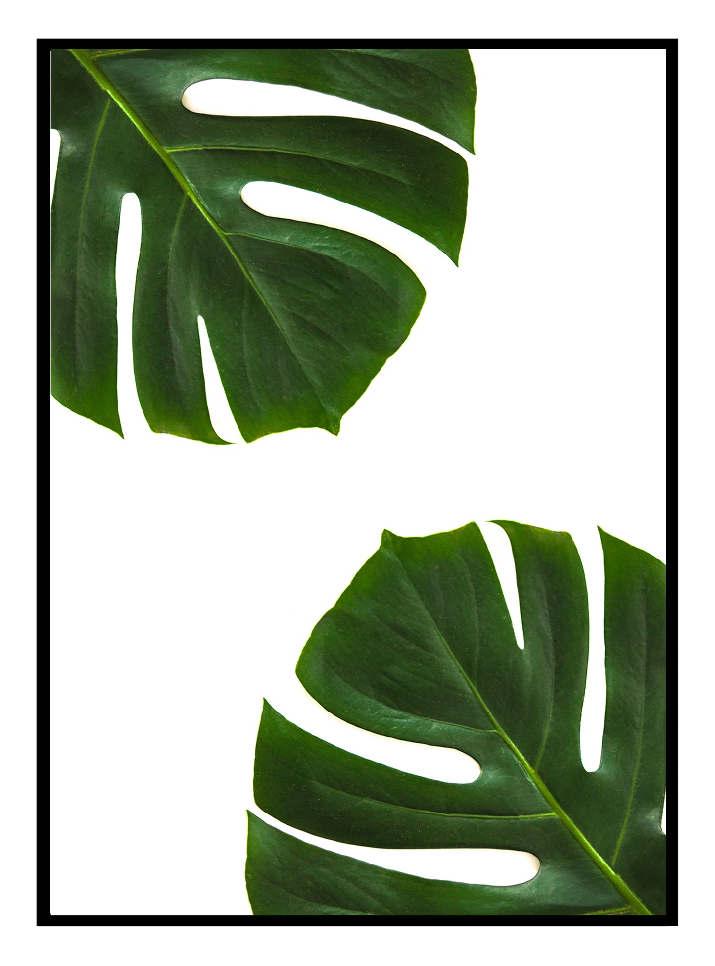 Palmblätter-Kunstdruck