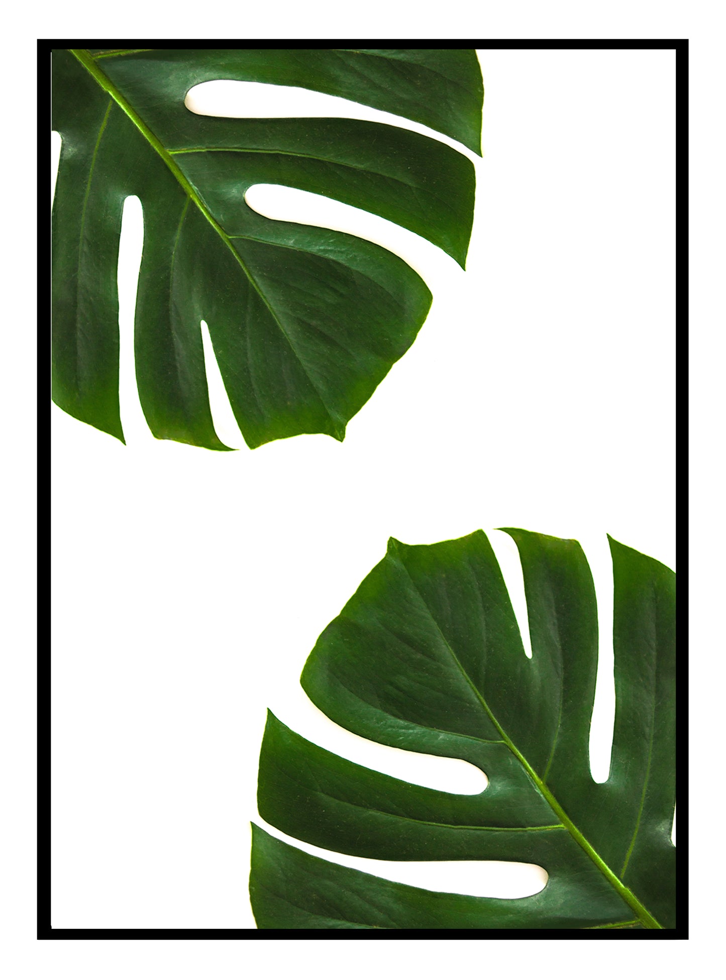 Palm Leaves Art Print