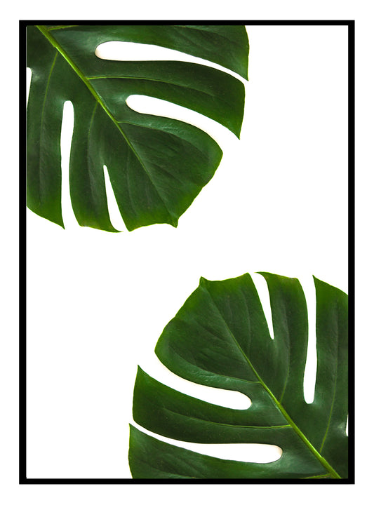 Palmblätter Kunstdruck