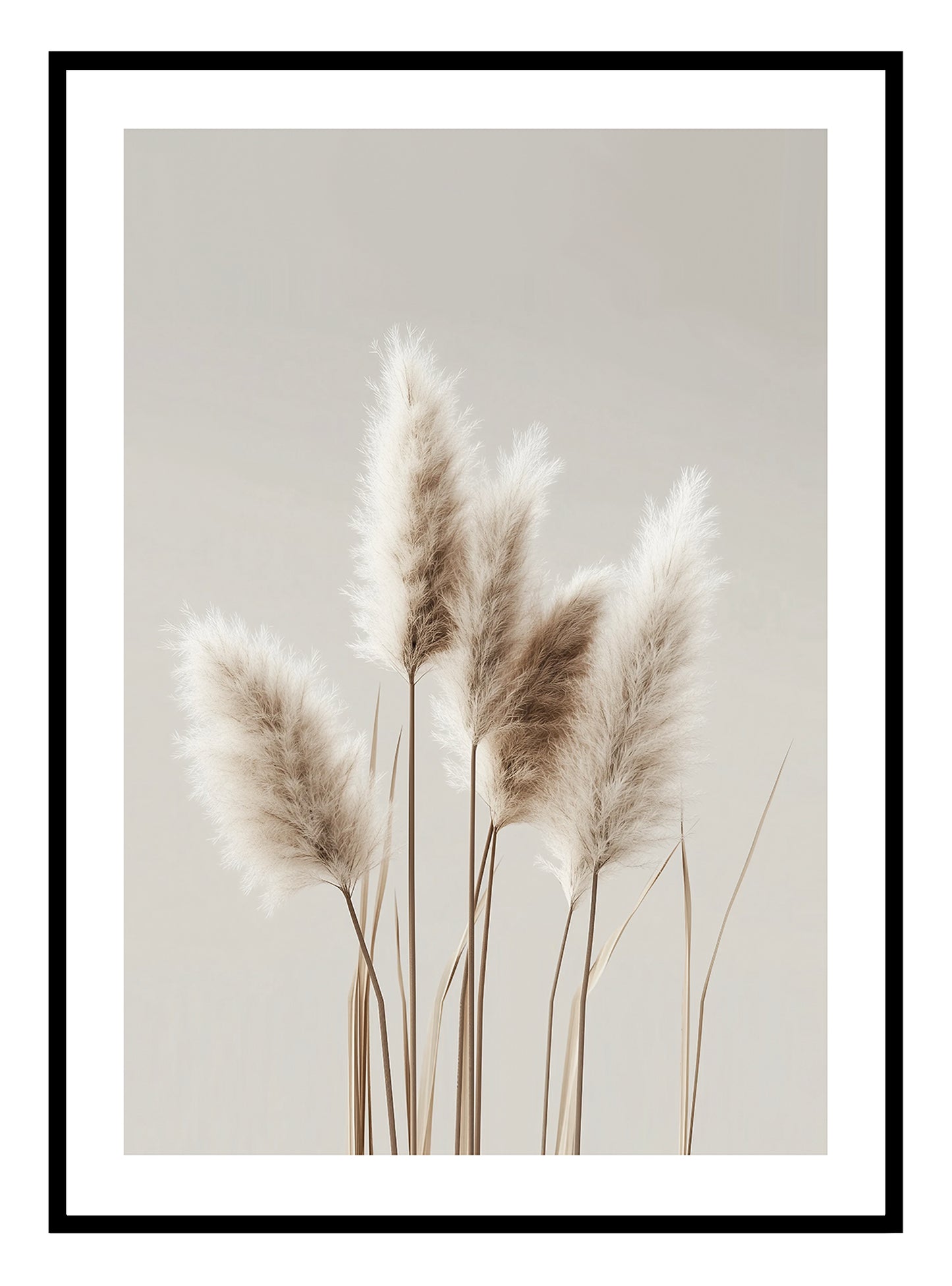 Soft Pampas Art Print