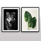 Loup sauvage Impression artistique