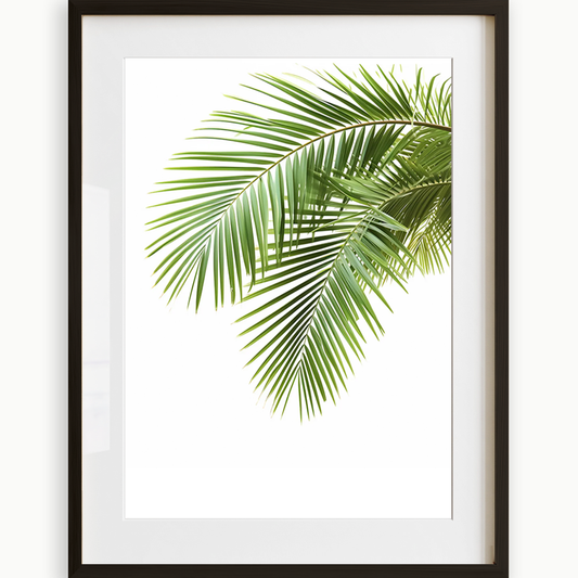 Palm Leaves (B) Art Print