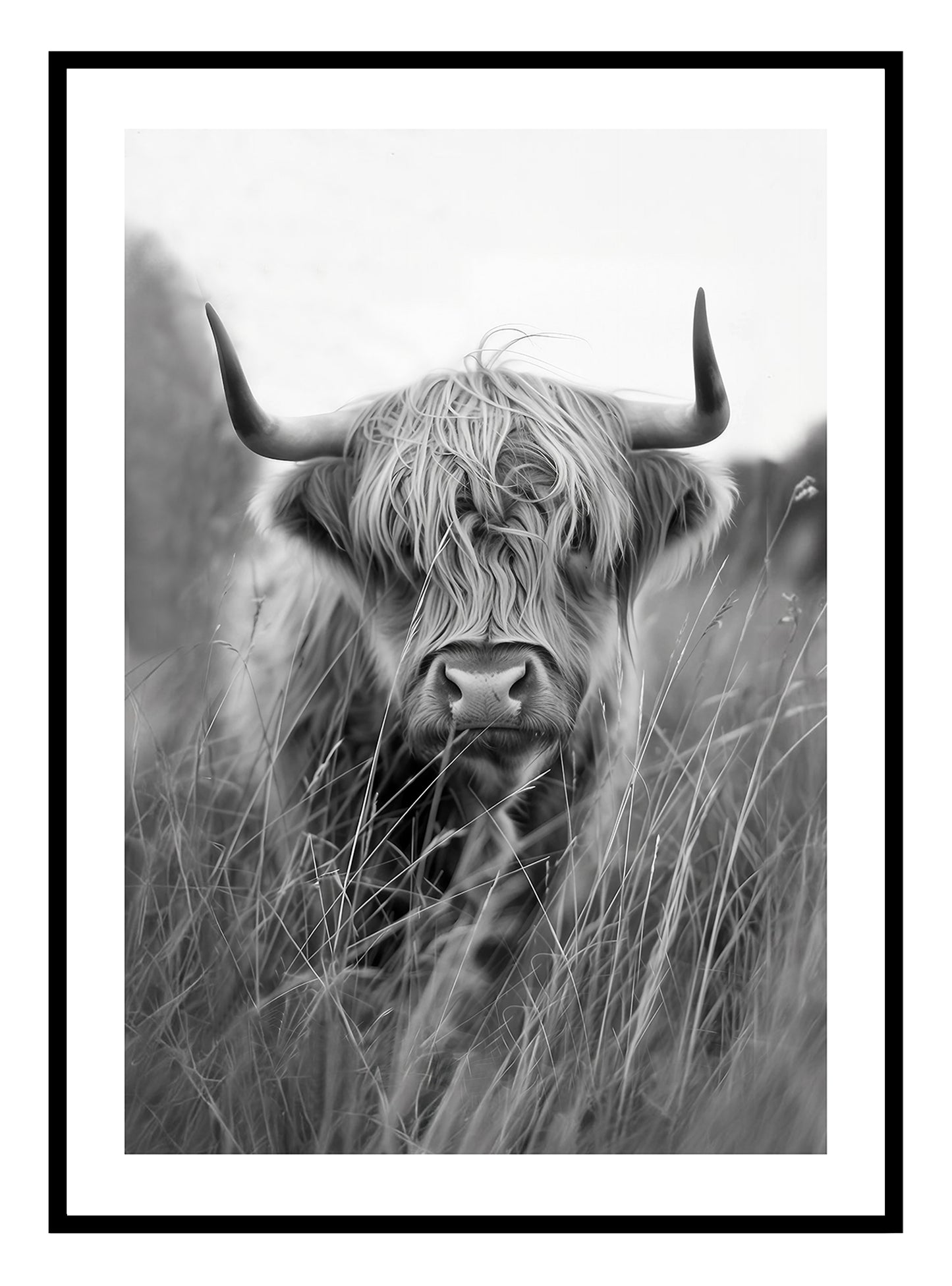 Cló Ealaíne na mBó Highland