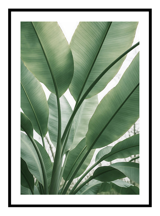 Tropical Leaves Art Print