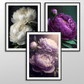 Lilac Peonies Art Print