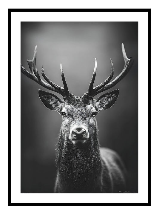Loup sauvage Impression artistique