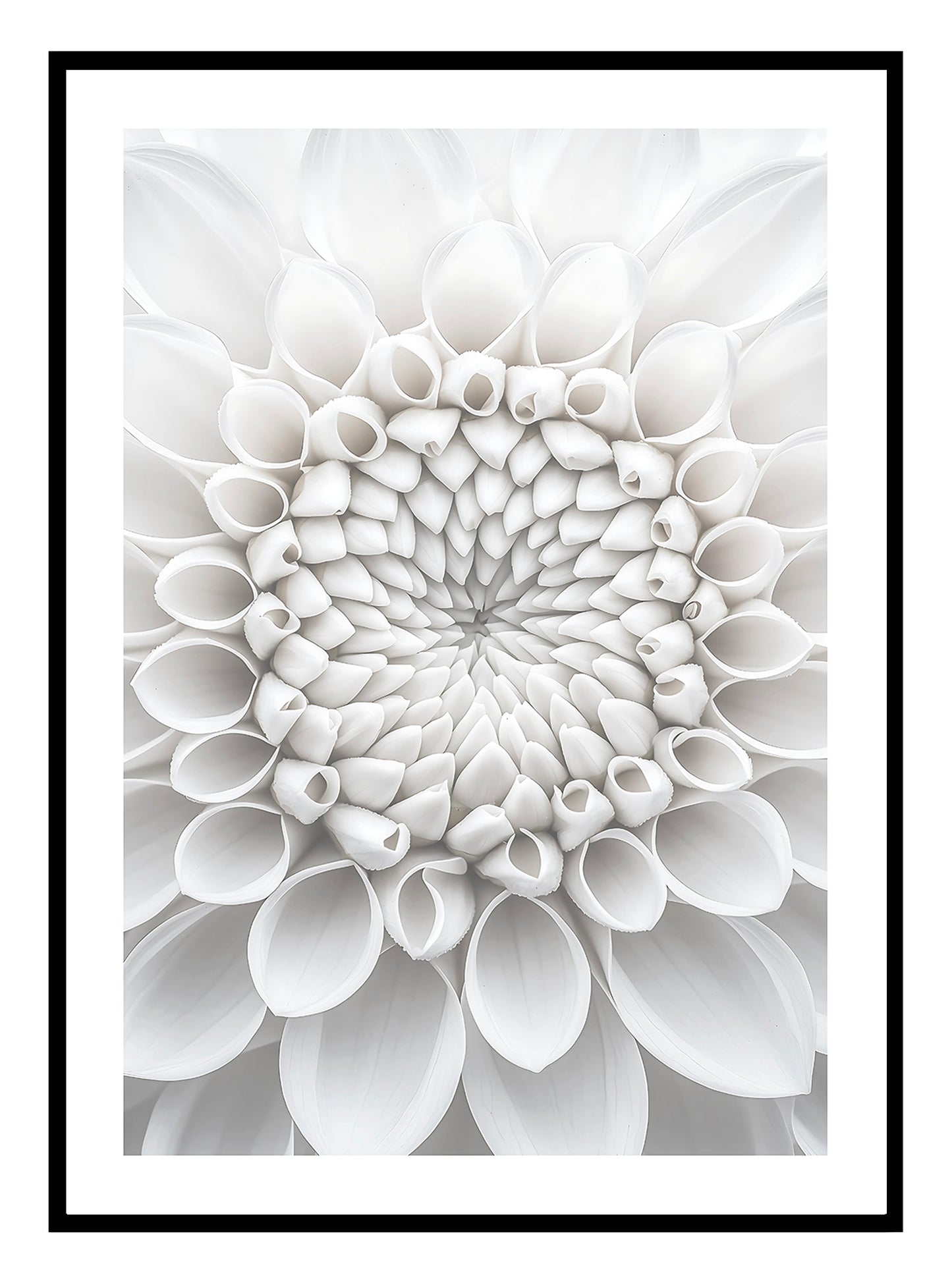 Macro Flower Art Print