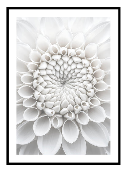 Macro Flower Art Print