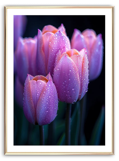 Raindrop Tulips Art Print