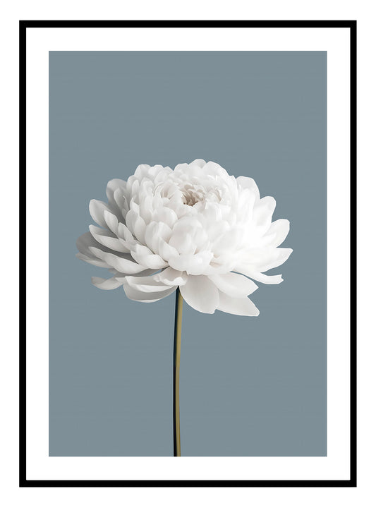 White Flowers Art Print