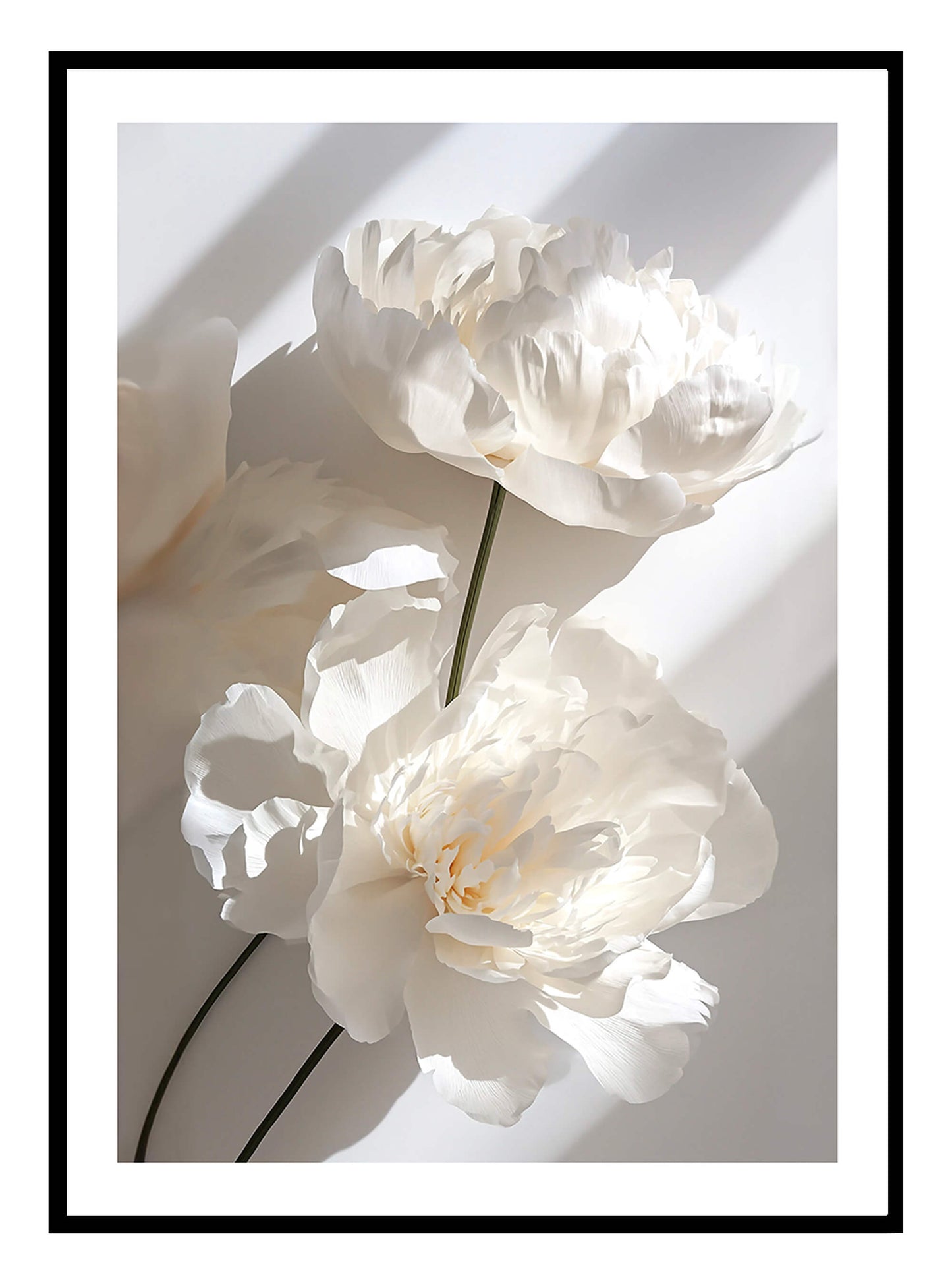 White Blooms Art Print