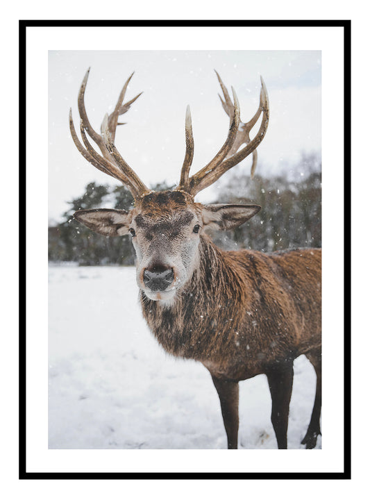 Nordic Stag Art Print