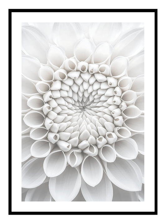 Macro Flower (A) Art Print