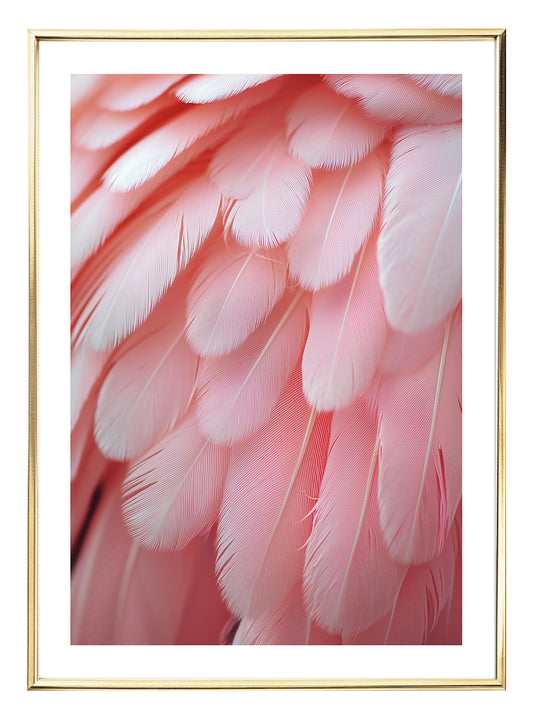 Pink Feathers Art Print