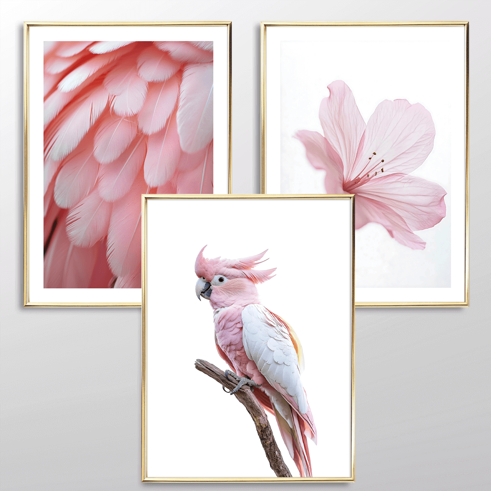 Pink Feathers Art Print