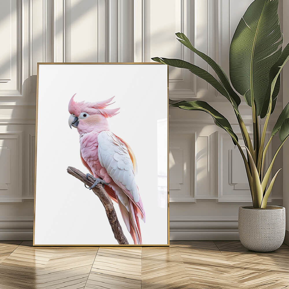 Pink Parrot Art Print