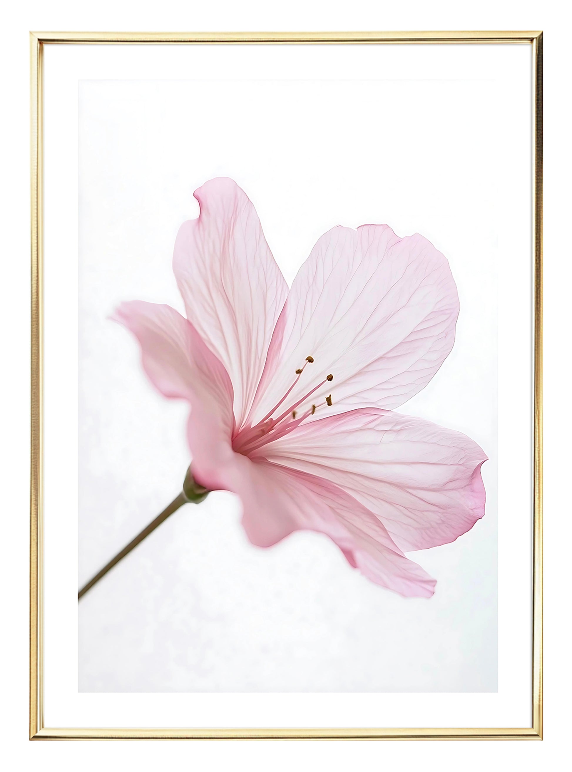 Pretty Flower Art Print