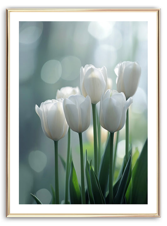 White Tulips Art Print
