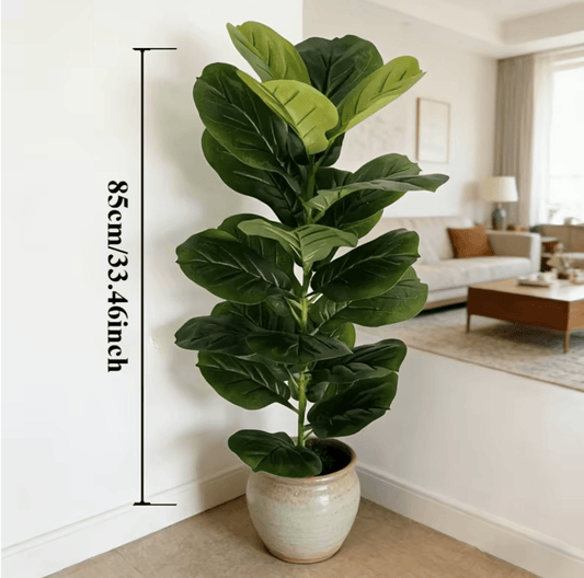 Tanaman Ficus Artifisial - 2 Ukuran