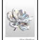 Silver Flower (C) Art Print