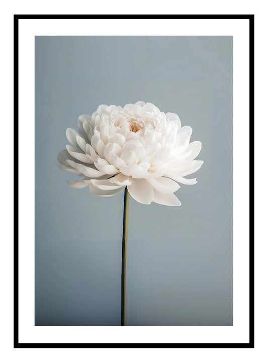 Single Beige Flower Art Print