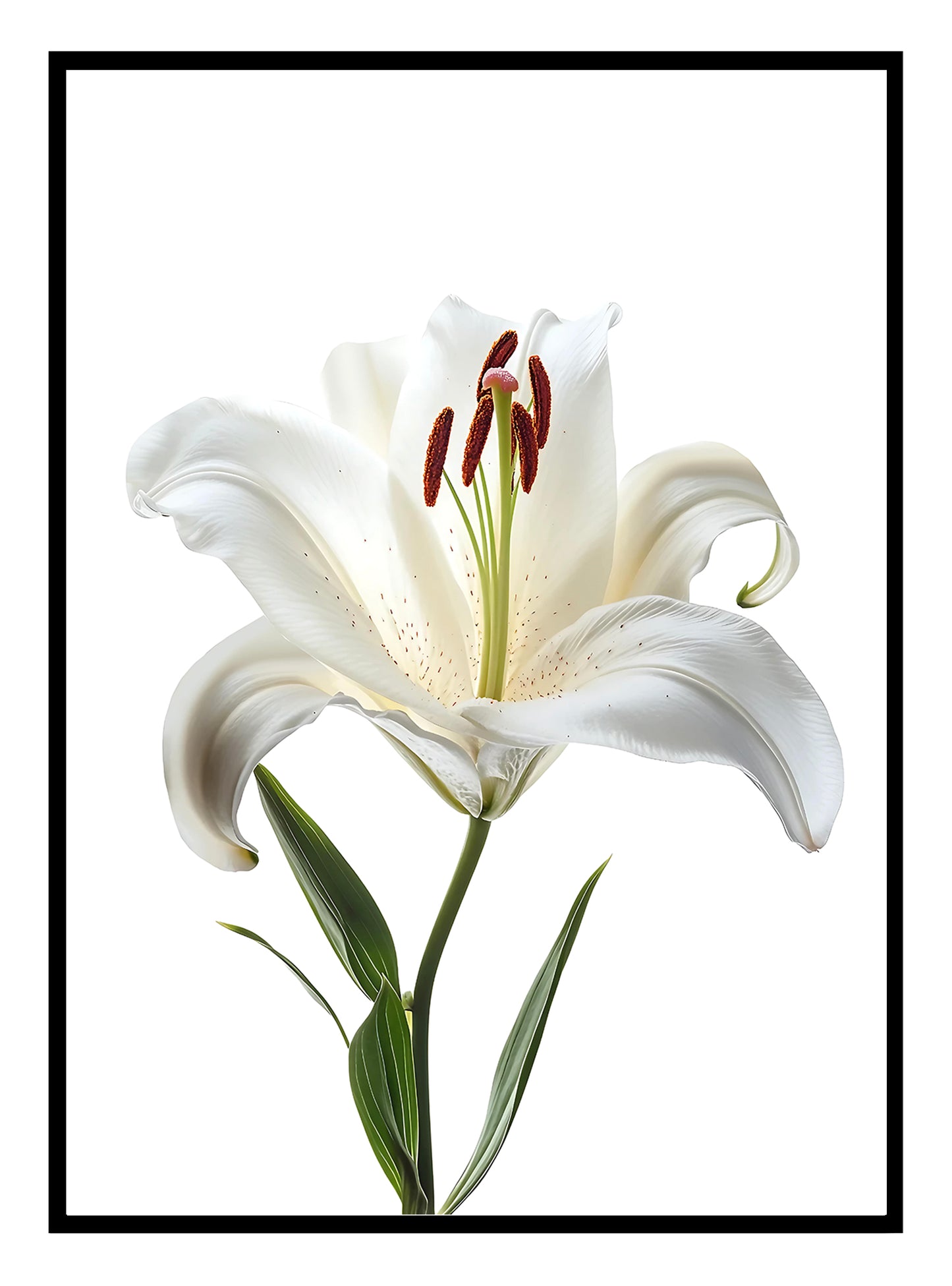 Stargazer Lily Art Print