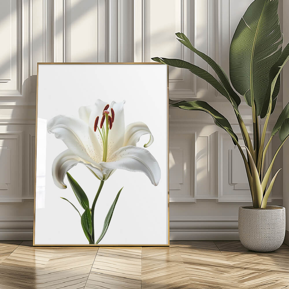 Stargazer Lily Art Print