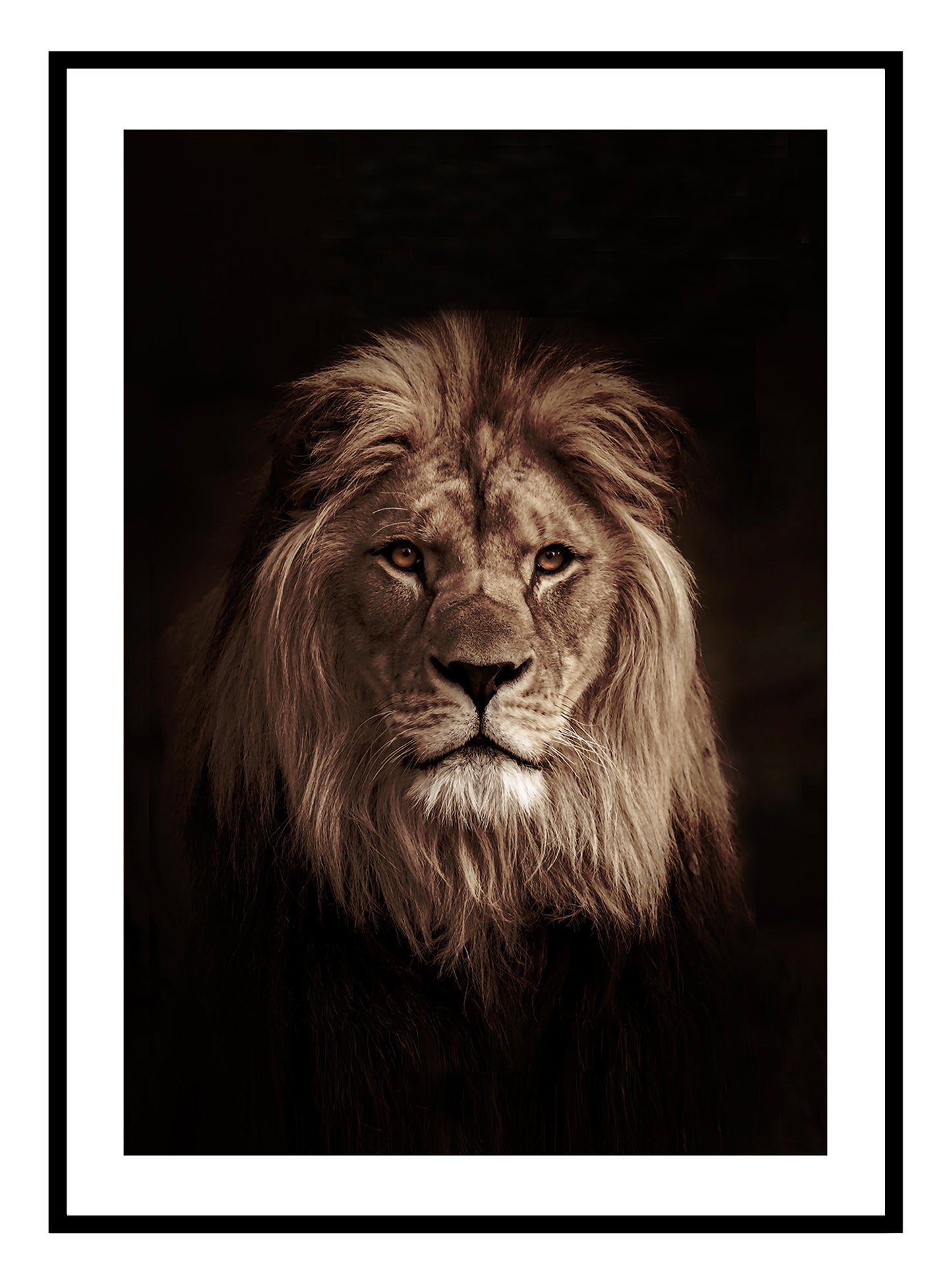 Stampa d'arte del re leone