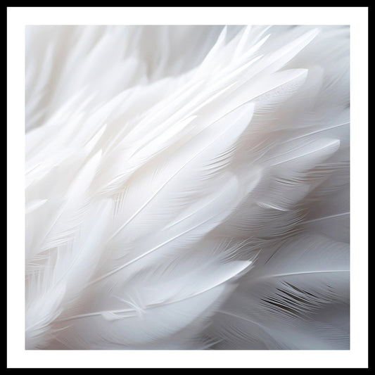 White Feathers Wall Art Print