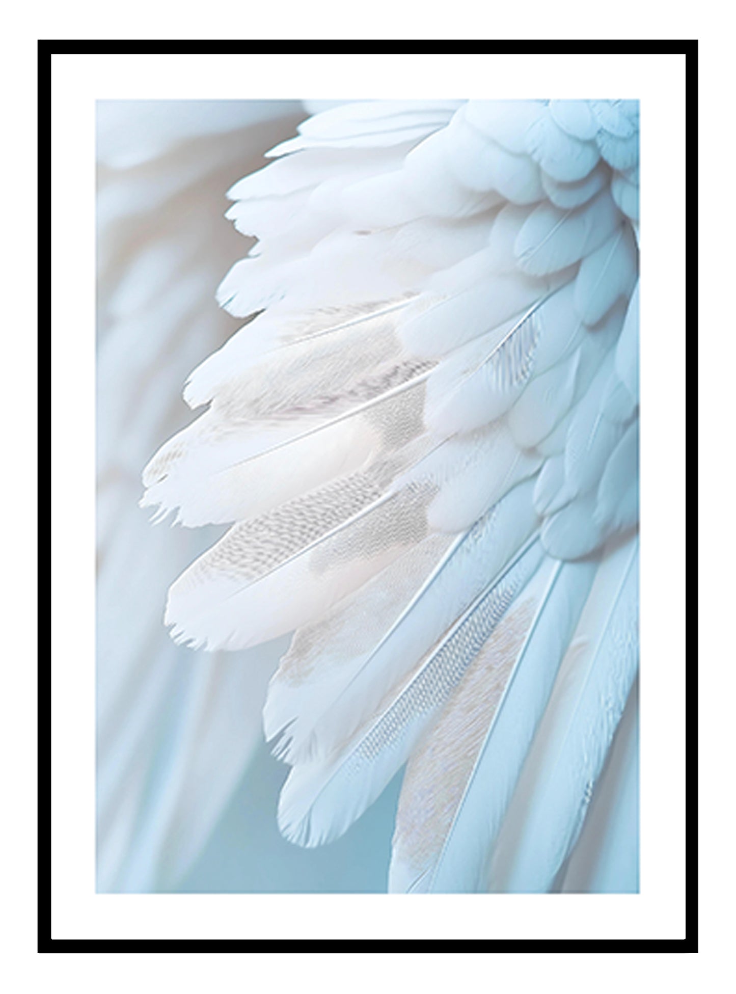 White Feathers Art Print