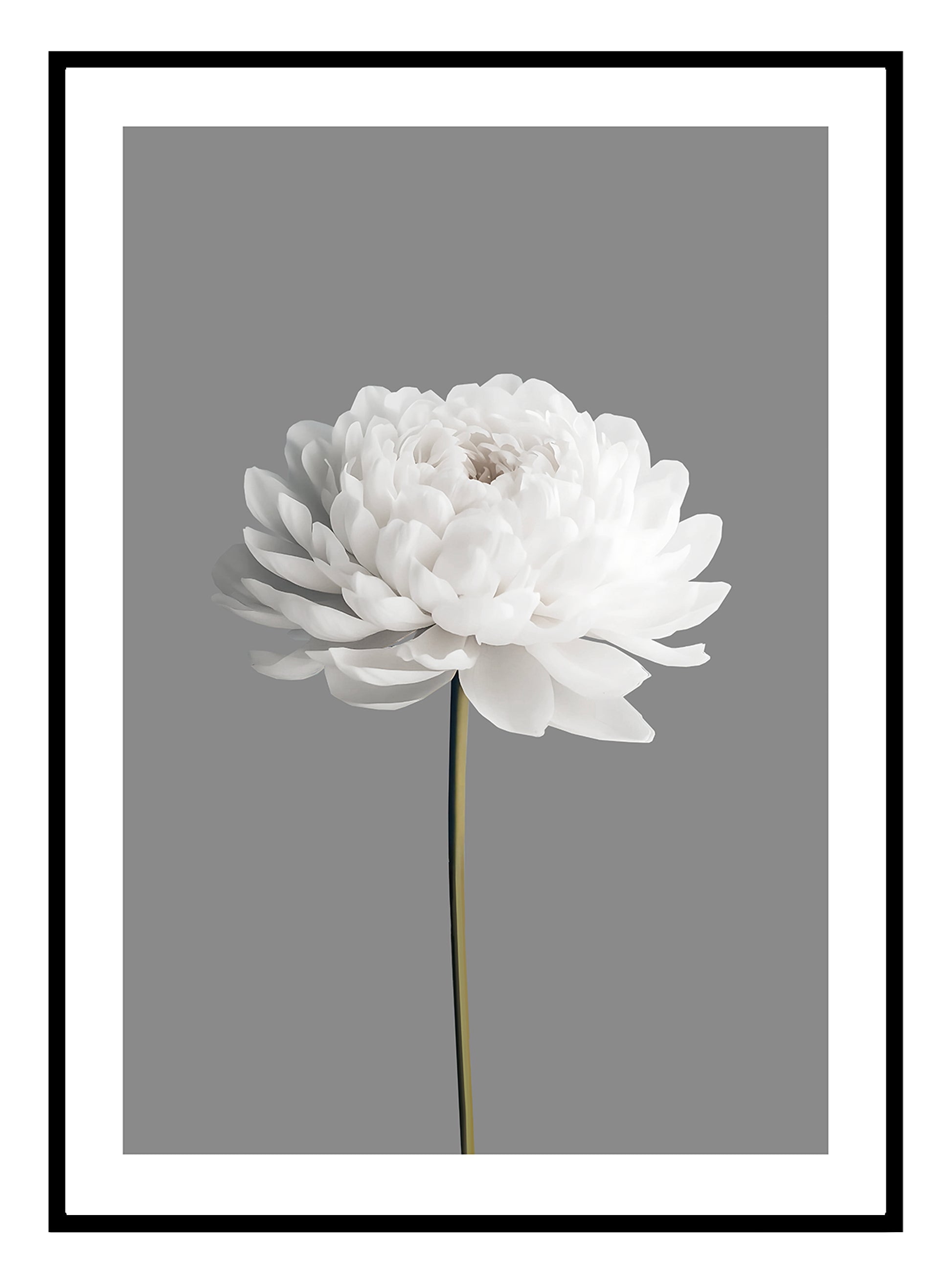 White Flower (B) Art Print