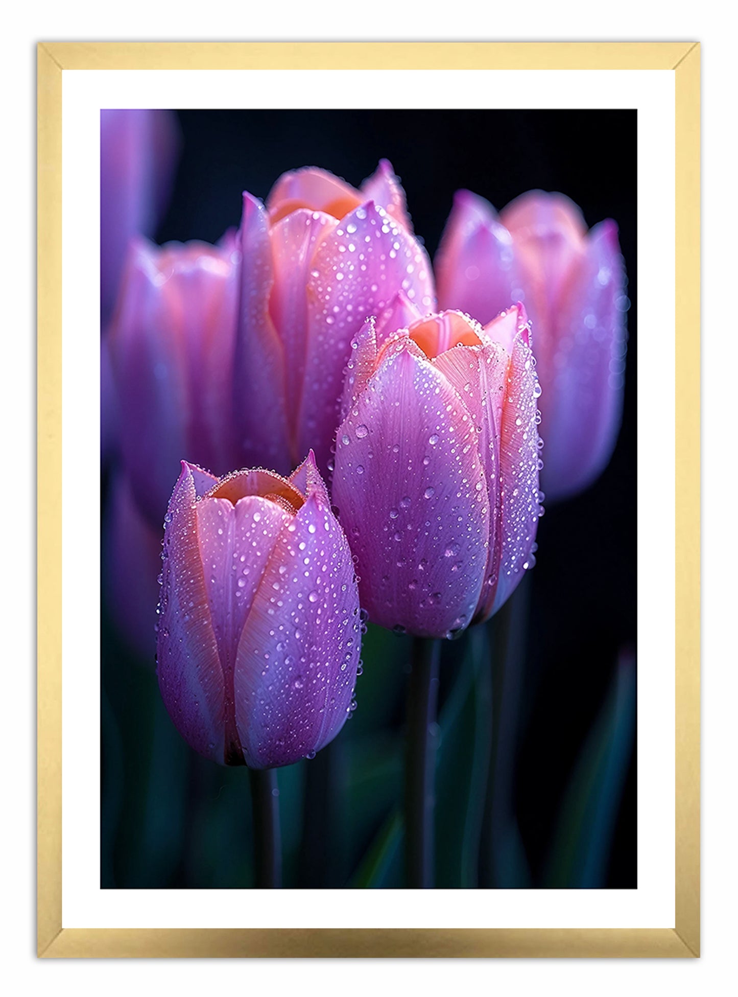 Priontáil Ealaíne Tulips Raindrop