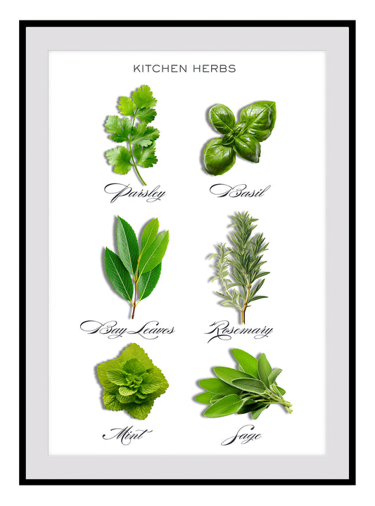 Kitchen Herbs Art Print